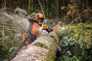 STIHL najaar deals